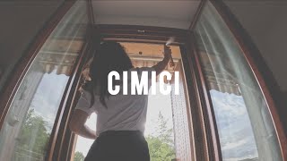 cimici [upl. by Scales]