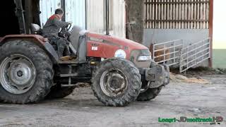 Une matinée à la Ferme avec plus de 1000 Bovins [upl. by Aihtenak302]