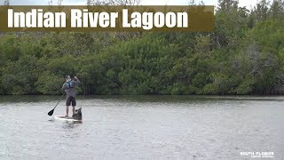 Paddleboard Fishing the Florida Indian River [upl. by Ayenat]