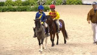 Shetland Pony Race [upl. by Notla]