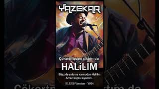 Çökertmeden çıktım da HALiLiM  Blues Versiyon [upl. by Refanej]