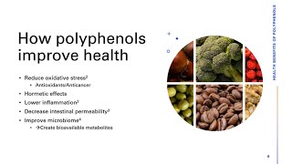 Health benefits of polyphenols How polyphenols improve health amp slow agerelated decline [upl. by Iduj]