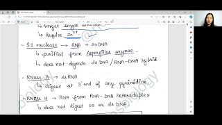 Class 1 Recombinant DNA Technology Enzymes [upl. by Mchenry]