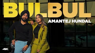 Amantej Hundal  BULBUL Official Music Video [upl. by Anelej48]