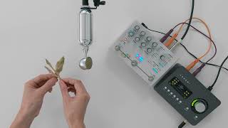 Leaves sound awesome through a guitar pedal ASMR [upl. by Jamill]