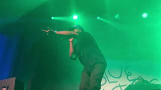 ScHoolboy Q  quotCollard Greensquot LIVE at Chicago IL Ramova Theatre 072424 [upl. by Holton]