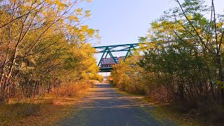 Train Sounds From Osaka In Japan [upl. by Buxton]