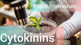 Cytokinins plant growth hormone [upl. by Elletsirk707]