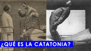 ¿Qué es CATATONIA en psicología [upl. by Icart]