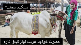 Hazrat Khuwaja Ghareeb Nawaz Cattle Farm 2024  Sastay Janwar ya Mehngay  Mandi Vlogs [upl. by Drusilla]