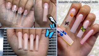 COLORFUL OUTLINED POLYGEL NAILS BUTTERFLY NAIL DESIGN  Polygel Nail Tutorial [upl. by Gannes990]