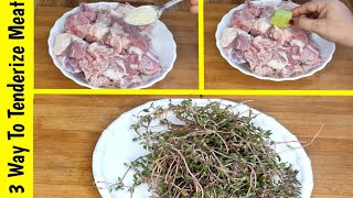 How To Make Meat Tenderizer  Gosht Ko Jaldi Galane Ka 3 Amazing Tarika  Special Bakra Eid Recipe [upl. by Sebastien540]