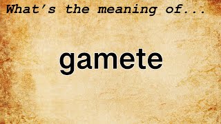 Gamete Meaning  Definition of Gamete [upl. by Leandre]