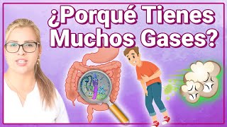 Porqué Tienes Muchos Gases  Causas Y Enfermedades Que Producen Pedos Y Flatulencias A Diario [upl. by Carlson]