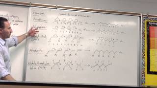 Organic Reactions P1 Polymers [upl. by Rubina265]