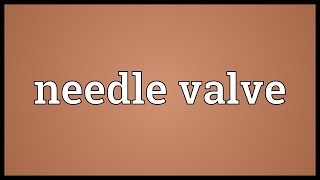 Needle valve Meaning [upl. by Xel]