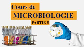 cours de microbiologie partie 5  la taxonomie bactérienne  nomenclature des microorganismes [upl. by Hsirahc884]