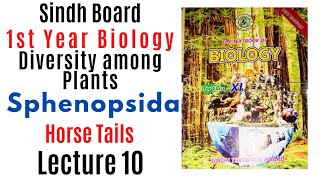 Sphenopsida Horse Tails Diversity among plants  1st year biology Sindh text book board new book [upl. by Aibar]