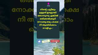 Motivational quotes Malayalam motivation Buddha quotes Relax and Smile [upl. by Eissac830]