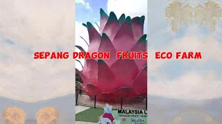 Sepang Dragon Fruits Eco Farm [upl. by Assedo]