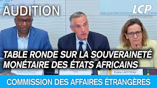 Table ronde sur la souveraineté monétaire des États africains et le devenir du franc CFA [upl. by Buehrer939]