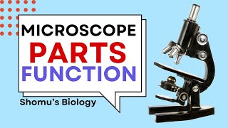 Microscope parts and functions in Hindi  Parts of a microscope [upl. by Yedarb]