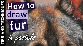 How to draw realistic fur in pastels  Drawing German Shepherd fur [upl. by Aeniah]