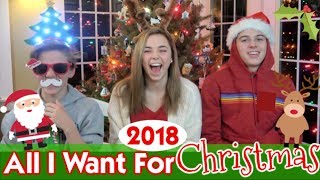 Its Our Christmas Wish Lists  HOLIDAY Gift Guide 2018 [upl. by Yob979]