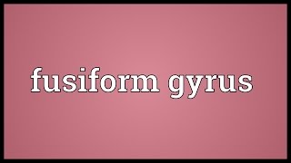 Fusiform gyrus Meaning [upl. by Fasano]