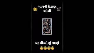 Bagni Udan Oli Chakalio Shu Jane 👑🦅  New Gujarati Status Video shorts trending viral [upl. by Aimak158]