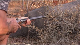 This Is Africa S5 Ep13 Saving The Dangerous Game [upl. by Hagerman53]