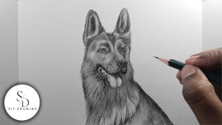 How to draw German Shepherd Dog  Easy Animal drawing tutorial for beginners [upl. by Swagerty]