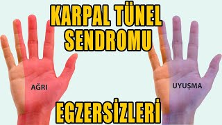 KARPAL TÜNEL SENDROMU EGZERSİZLERİ aktifizyo fiziktedavi elbileği ağrısı [upl. by Stephenie435]