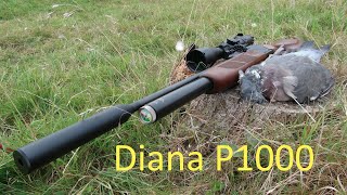 Diana P1000 First Blood [upl. by Hebert]