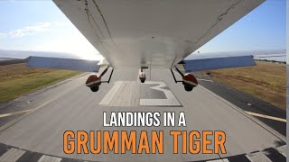 I Try Landing A Grumman Tiger  AA5B [upl. by Rollet162]