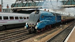 The Capital Streak  LNER A4 No 4464 Bittern Passing Doncaster  7th December 2013 [upl. by Amikat]