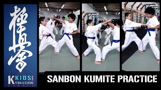 Sanbon Kumite Practice [upl. by Kistner]