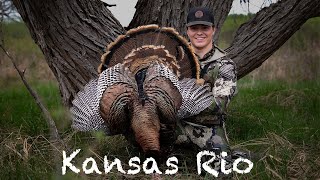 MY FIRST RIO TURKEY  Kansas Turkey Hunting [upl. by Trebmal]