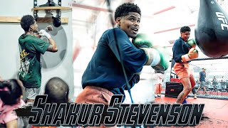 SHAKUR STEVENSON Training  Ready for Artem Harutyunyan [upl. by Isadore647]