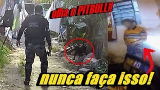 PITBULL QUE PAROU A ROCAM  PINOTE DE BIKE  PRISÃO POR TRÁFICO [upl. by Norat613]