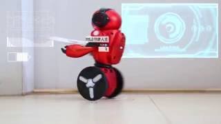 NEW Robot Remote Control Intelligent Balance GSensor RC Robot [upl. by Ojela]