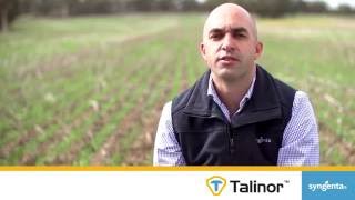 Talinor  a new postemergent broadleaf herbicide amp resistance management tool [upl. by Enytsuj]