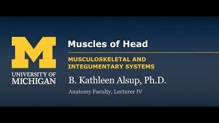 Skeletal Muscle Muscles of the Head [upl. by Notlit]