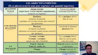 23 6 EXPRIMER UNE QUANTITÉ LES ADJECTIFS INDÉFINIS [upl. by Fritze14]