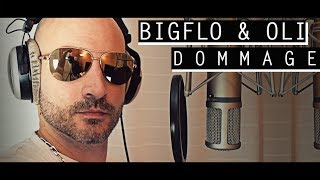 Bigflo amp Oli  Dommage Willy Cover w Lyrics [upl. by Burkhardt]