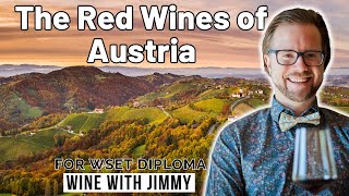 Exploring the red wines of Austria for WSET Level 4 Diploma [upl. by Ymmak]