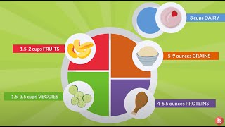 Nutrition Importance of the Five Food Groups [upl. by Hanyaz231]