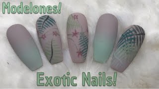 Exotic Gel Polish Nails  Modelones  Morandis Village [upl. by Carson]