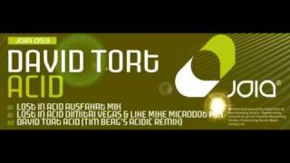 DAVID TORT ACID Lost In Acid Ausfahrt Mix [upl. by Ynnaf]