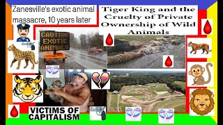 TRUE CRIME CASE PURE EVIL The Zanesville Animal Zoo Massacre 24 Hours Of TOTAL Chaos DEEPDIVE [upl. by Gustafsson]